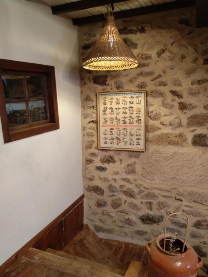 Casa Ribeira Sacra, Ourense, Ninodaguia, Galicia Kültér fotó